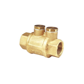 504 - Roma check valve
